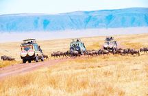6 Days Lodge Safari.