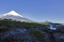 Shore Excursion: Osorno Volcano Private Tour from Puerto Montt