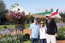 Private Full-Day Tour: Valparaiso, Viña del Mar and Casas del Bosque Vineyard