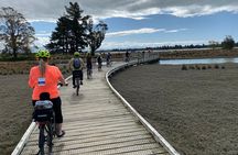 Self-Guided Nelson to Mapua Cycle Adventure