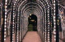 London's City Lights by Night Private Tour
