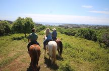1 Hour Scenic Horseback Ride
