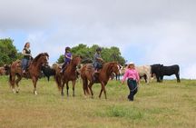 Pony Rides For Kids