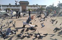 Excursion Casablanca one day trip from Marrakech
