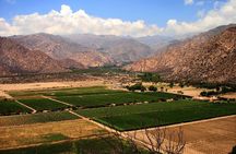 Full Day Excursion to Cafayate from Salta