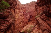 Full Day Excursion to Cafayate from Salta