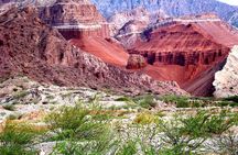 Full Day Excursion to Cafayate from Salta