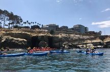 La Jolla Sea Caves Kayak Tour For Two (Tandem Kayak) 