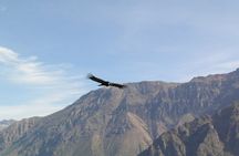2-Day Colca Canyon Trek