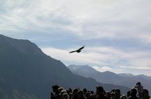 2-Day Colca Canyon Trek