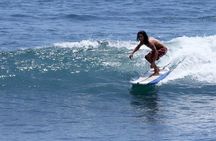Surf Lesson Tours (half day)
