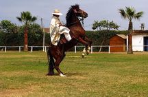 Show of Peruvian Paso Horse & Marinera with lunch