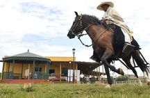 Show of Peruvian Paso Horse & Marinera with lunch