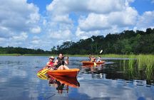 Private - Mayan Inland Expedition - Coba Ruins, Punta Laguna and Mayan family 
