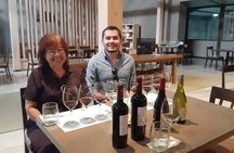 Private Full-Day Guided Valparaiso and Vina Del Mar Tour from Santiago
