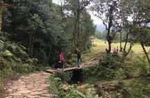 Easy Hiking to Australian Camp from Pokhara 
