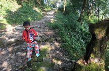 4WD Drive to Dhampus and Easy Hiking to Australian Camp from Pokhara