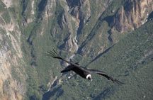 3days: Colca Canyon Trek 3d/2n