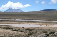 Colca Canyon Tour 2d Short hiking + Overnight in small village Ending in Puno