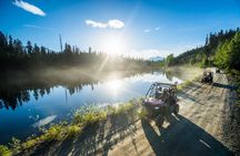 Off-Road Buggy Adventure