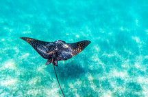 Private tour - Sian Ka´an Adventure 