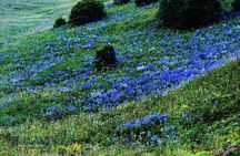 Day Trip to Vani from Kutaisi