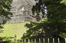 Tikal Full-Day Group Tour