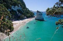 Coromandel, Cathedral Cove and Hot Water Beach Full Day Tour From Auckland