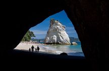 Coromandel, Cathedral Cove and Hot Water Beach Full Day Tour From Auckland