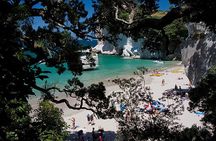 Coromandel, Cathedral Cove and Hot Water Beach Full Day Tour From Auckland