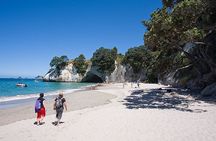 Coromandel, Cathedral Cove and Hot Water Beach Full Day Tour From Auckland