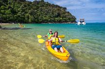 Private boat charter in Abel Tasman National Park