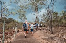 Litchfield Day Tour from Darwin with Offroad Dreaming 