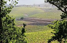 Full Day Table Mountain, Cape Point & Winelands Tour