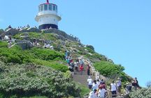 Full Day Table Mountain, Cape Point & Winelands Tour