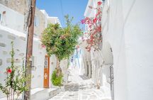 Private tour: Paros & Antiparos highlights 8 hours