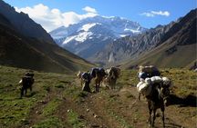 3 days trek to Plaza Francia in Aconcagua park
