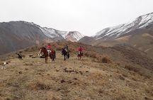 Full day Horseback Riding in the Andes and BBQ 