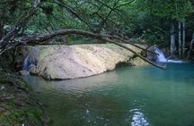 7 Hour- Private Nature Tour of the Monte Plata Rainforest