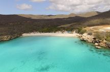 Best Highlight Island Tour - Perfect Day Tour. Small group Tour