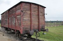 Krakow: Auschwitz-Birkenau Full Shared Tour or Private Transfer