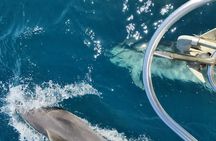 Private Full Day Sailing