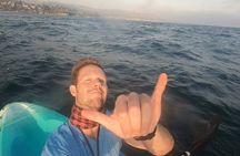 Laguna Beach Open Ocean Kayaking Tour with Sea Lion Sightings