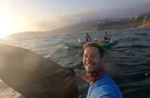 Laguna Beach Open Ocean Kayaking Tour with Sea Lion Sightings