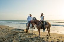 Horseback Riding Tour in Beach of Cartagena