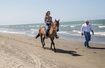 Horseback Riding Tour in Beach of Cartagena