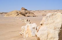 Private Full-Day Tour from Cairo to Wadi - Al Rayan & al fayoum oasis