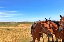 Inner Mongolia 2 Full Days Tour to Grassland and Hohhot