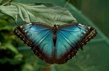 La Paz Waterfall Gardens and Wildlife Refuge Tour from San Jose