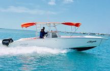 VIP Whale Shark Private Tour